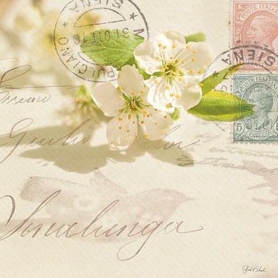 White apple blossom flowers, vintage letters, stamps and sunshine
