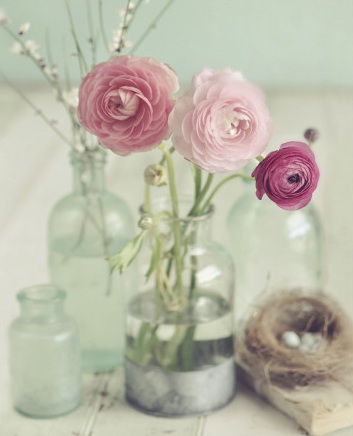 Vintage style photography: Pastel pink and blue roses - Blooming Bottles by Mandy Lynne