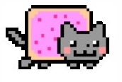 nyan cat