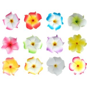 plumeria hair clips