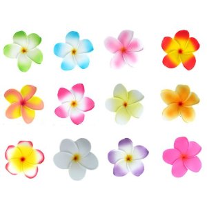 Frangipani hair clips