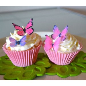 butterfly cake and cupcake decoration