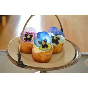 Pansy flower cake and cupcake decorations