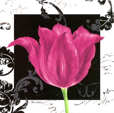 Flower art: Pink tulip with stylish black damask - art print poster